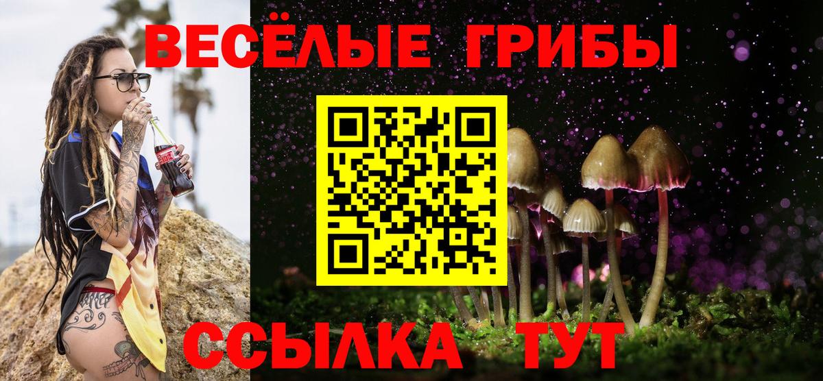 закладки  Галлюциногенные грибы Psilocybine cubensis  Вход с VPN  Мегион 